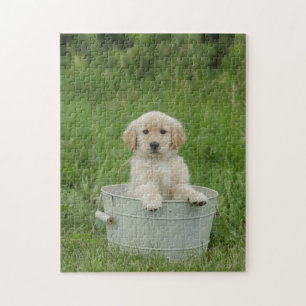 Goldener Retriever im Waschbecken Puzzle