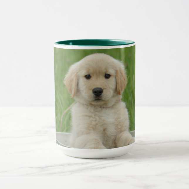 Goldener Retriever im Waschbecken Tasse (Zentrum)