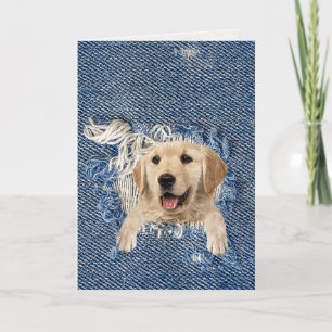Goldener Retriever in blauem denim-gerüftetem Loch Karte