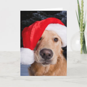 Goldener Retriever in der Weihnachtsmannmütze Feiertagskarte