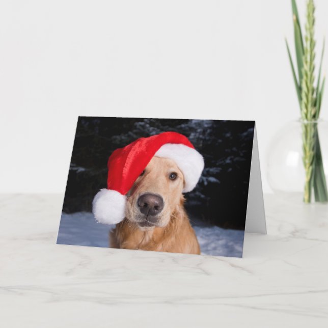 Goldener Retriever in der Weihnachtsmannmütze Feiertagskarte (Vorderseite)