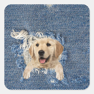 Goldener Retriever in geruchtem Denim-Stoffloch Quadratischer Aufkleber