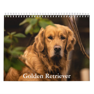 Goldener Retriever Kalender