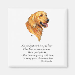 Goldener Retriever Keepake Magnet