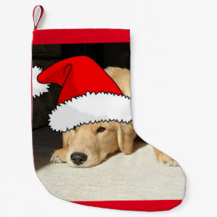 Goldener Retriever Kleiner Weihnachtsstrumpf