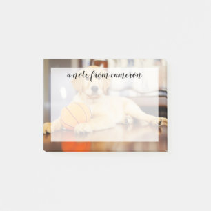 Goldener Retriever mit Basketballspielzeug Post-it Klebezettel