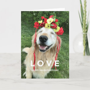 Goldener Retriever mit Blume Krone Valentinstag Feiertagskarte