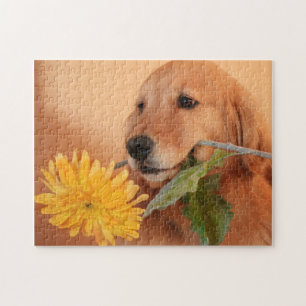Goldener Retriever mit Blumen-Puzzlen Puzzle