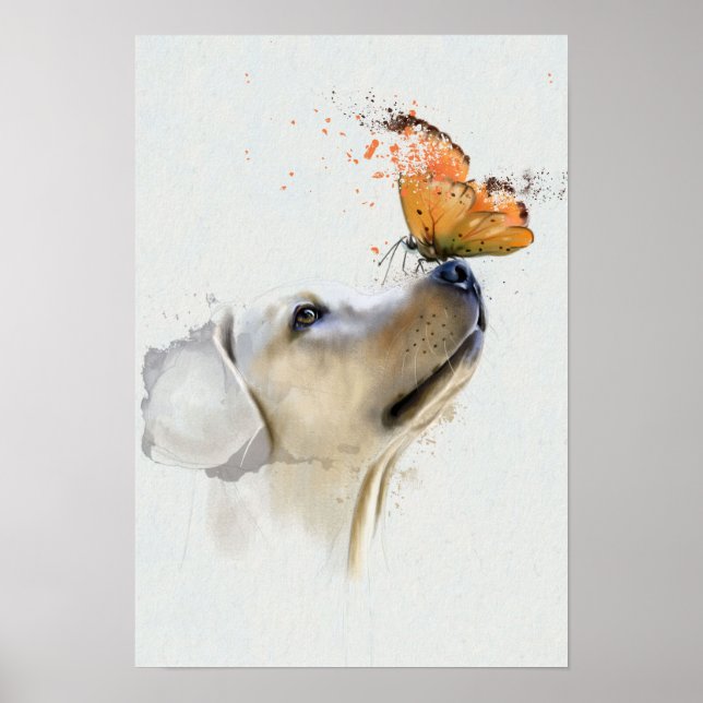 Goldener Retriever mit einem Schmetterling auf der Poster (Vorne)