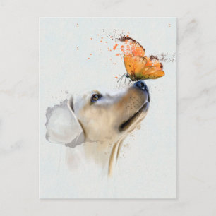 Goldener Retriever mit einem Schmetterling auf der Postkarte