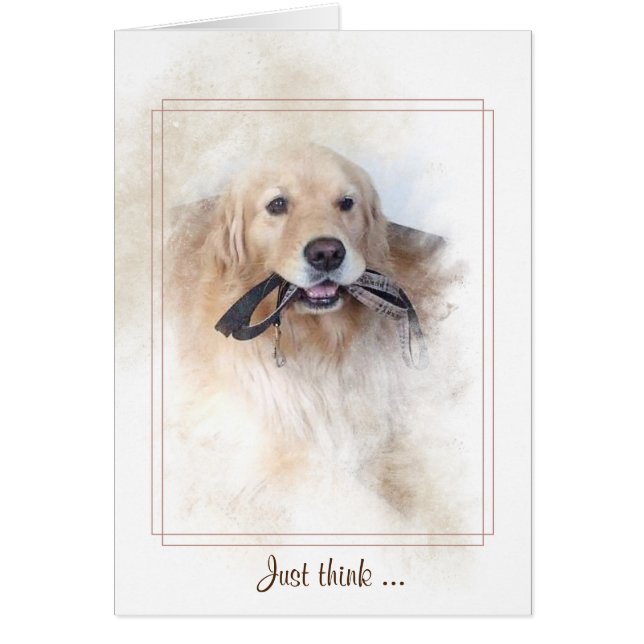 Goldener Retriever mit Leine im Mund (Vorne)