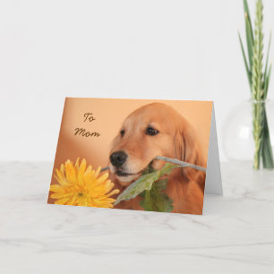 Goldener Retriever mit Muttertagskarte der Blume Karte