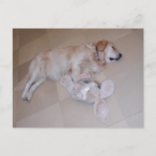 Goldener Retriever mit Osterhase Postkarte