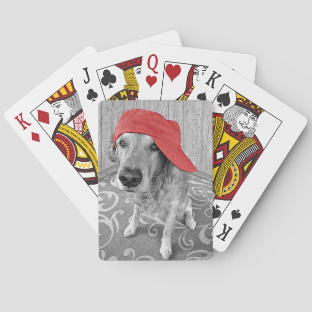 Goldener Retriever mit roter Verschlusskappe Spielkarten (Rückseite)