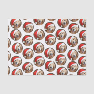 Goldener Retriever mit roter Weihnachtsmannmütze Seidenpapier