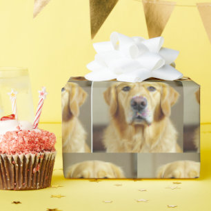 Goldener Retriever mit Sprinklen an der Nase Geschenkpapier