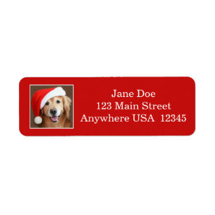 Goldener Retriever mit Weihnachtsmannmütze