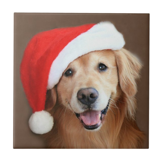 Goldener Retriever mit Weihnachtsmannmütze Fliese (Vorderseite)