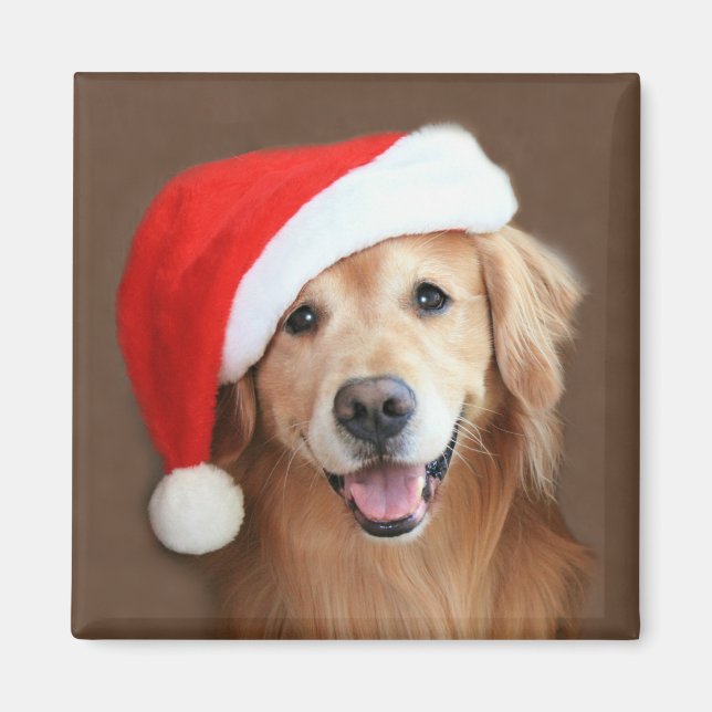 Goldener Retriever mit Weihnachtsmannmütze Magnet (Vorne)