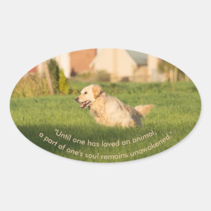 Goldener Retriever mit Zitat-Oval-Aufkleber Ovaler Aufkleber