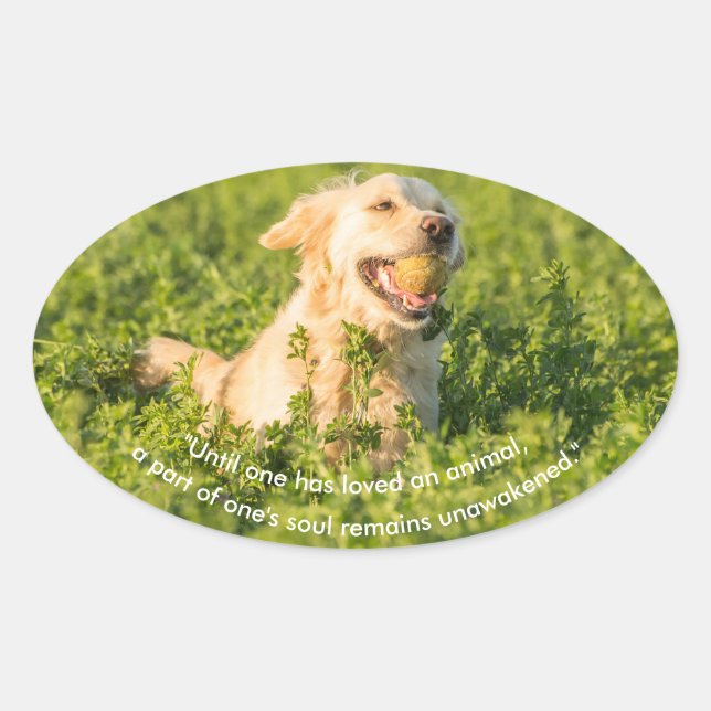 Goldener Retriever mit Zitat Ovaler Aufkleber (Vorderseite)