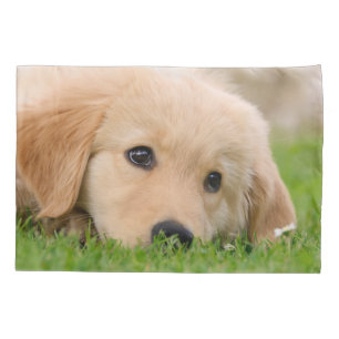 Goldener Retriever-niedliche Hundewelpen-Traum Kissenbezug
