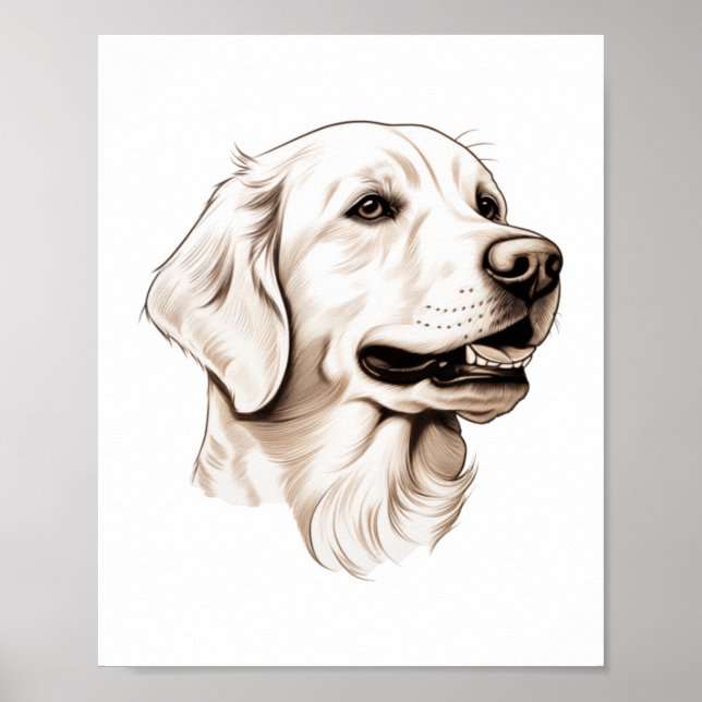 Goldener Retriever Poster (Vorne)