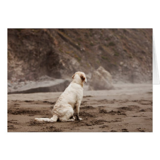 Goldener Retriever-Raum-Foto-Karte