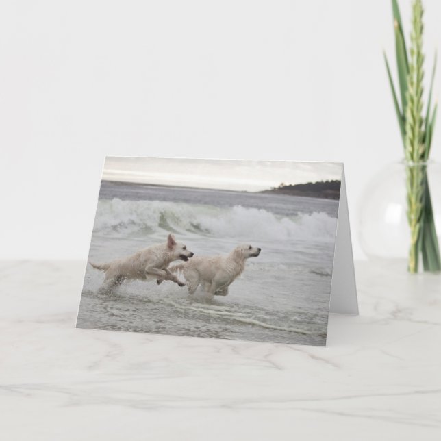 Goldener Retriever-Raum-Foto-Karte Karte (Vorderseite)