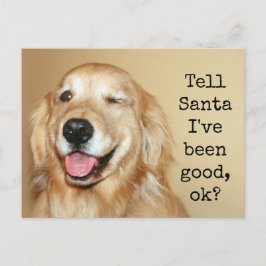 Goldener Retriever Sage Weihnachtskarte Feiertagspostkarte