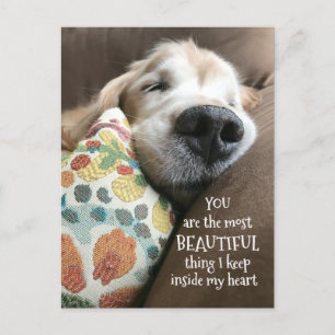 Goldener Retriever Schöne Sache Liebe Postkarte
