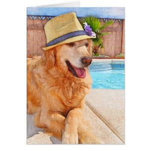 Goldener Retriever - Sommer-Liebe