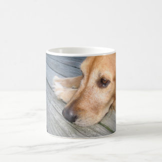 Goldener Retriever-Tasse Tasse