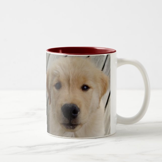 Goldener Retriever TASSEN-Welpe Zweifarbige Tasse (Rechts)