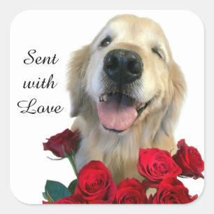 Goldener Retriever und Rose mit Liebe Quadratischer Aufkleber
