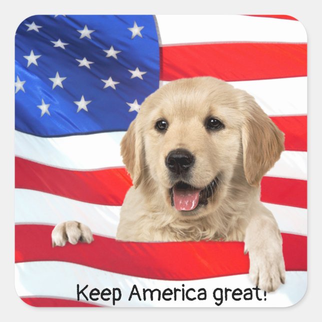 Goldener Retriever unter amerikanischer Flagge Quadratischer Aufkleber (Vorderseite)