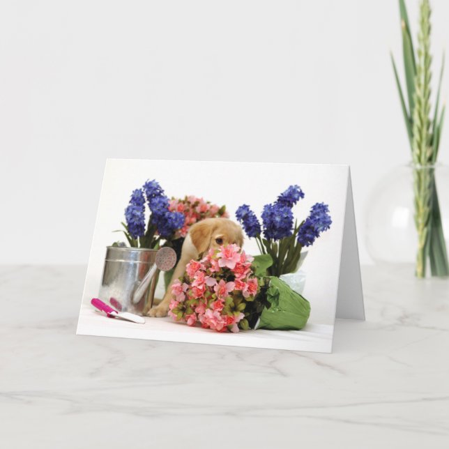 Goldener Retriever-Welpe, der die Blumen riecht Karte (Vorderseite)