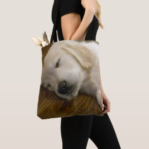 Goldener Retriever-Welpe nimmt ein Nickerchen