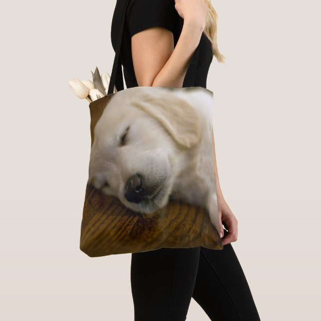 Goldener Retriever-Welpe nimmt ein Nickerchen (Von Nahem)
