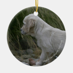 Goldener Retriever-Welpe stehend Keramikornament