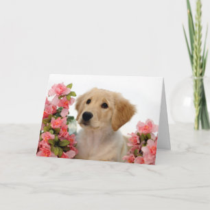 Goldener Retriever-Welpe und rosa Blumen Karte
