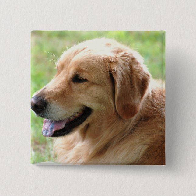 Goldener Retriever-Welpen-Button Button (Vorderseite)