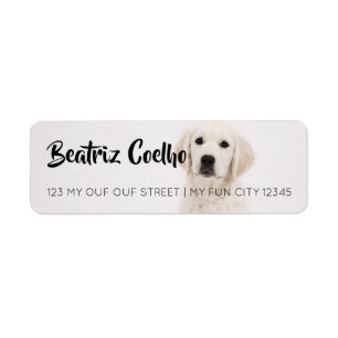 Goldener Retriever-Welpen-HundeThemed dekoratives