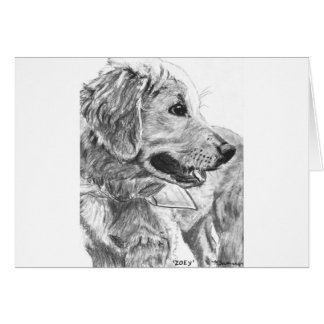 Goldener Retriever-Welpen-Zeichnen