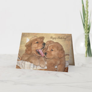 Goldener Retriever Welpenspass Karte