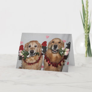 Goldener Retrievervalentine-Pfeile der Liebe Feiertagskarte
