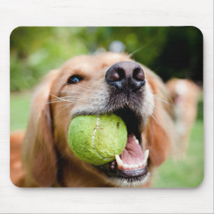 Goldener Rückzug mit Tennisball Mousepad
