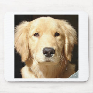 Goldener Rückzug Mousepad
