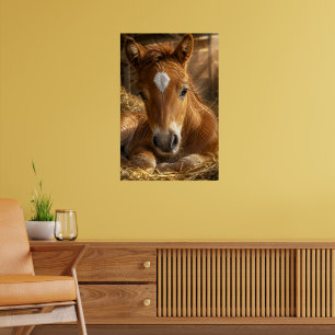 Goldener Schlummer sanftes Fohlen Poster