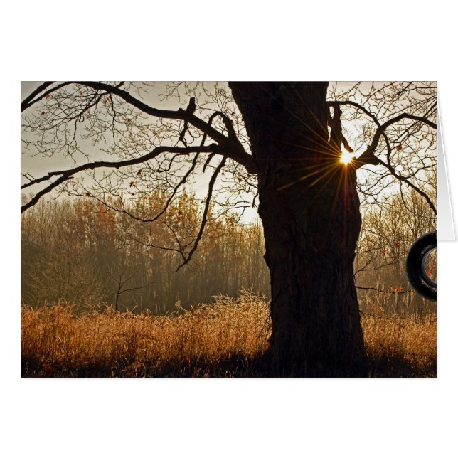 Goldener Sonnenaufgang (Vorderseite (Horizontal))